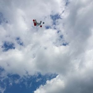 Meet your Posher, Priscilla